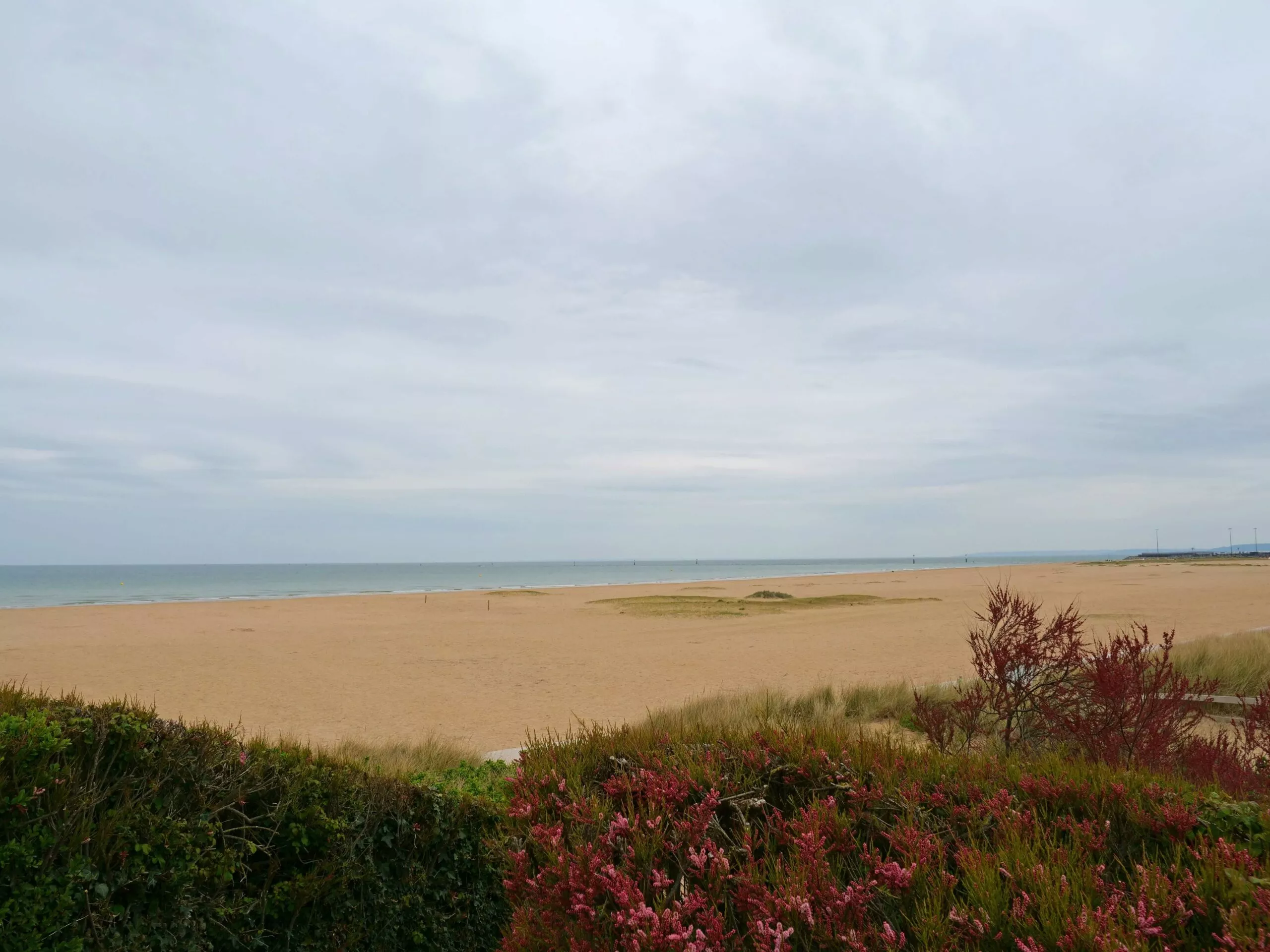 SWORD Beach