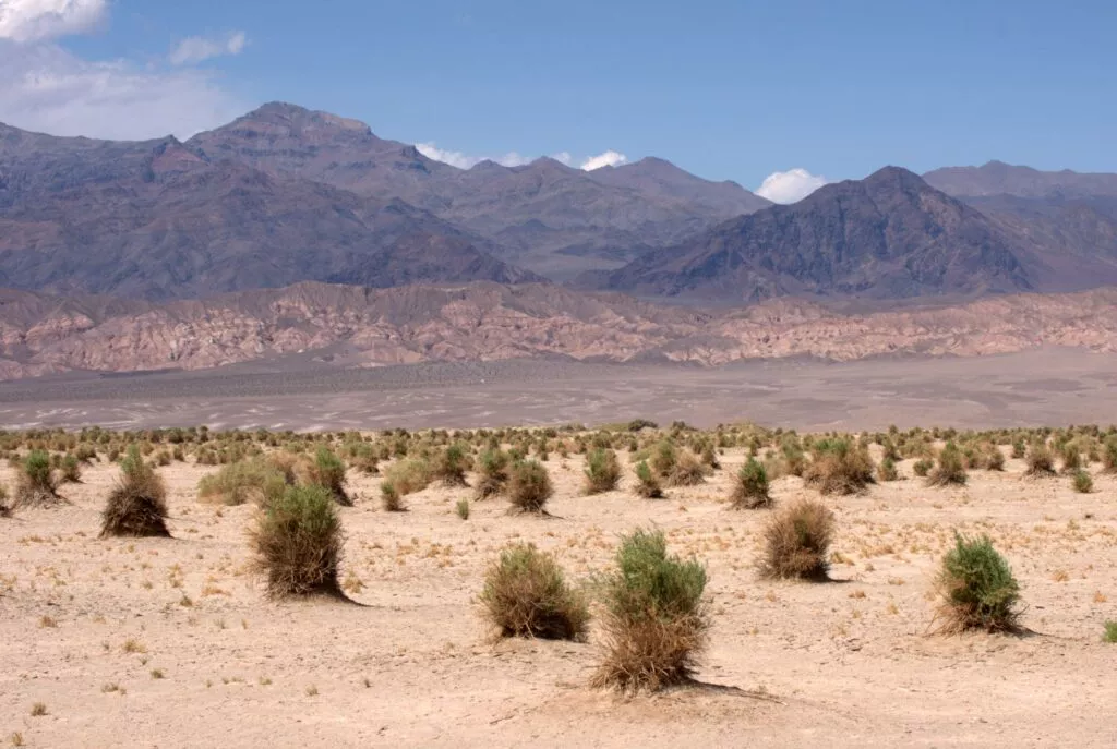 Death Valley (USA) - Juin 2009