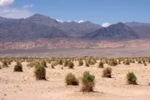 Death Valley (USA) - Juin 2009